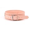 Pink Organosilicon Collar with Leash