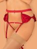 Rubinesa garter belt & crotchles thong  S/M